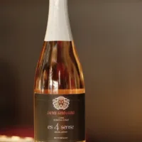 Jaume Giró i Giró (rosado) - Imagen 2